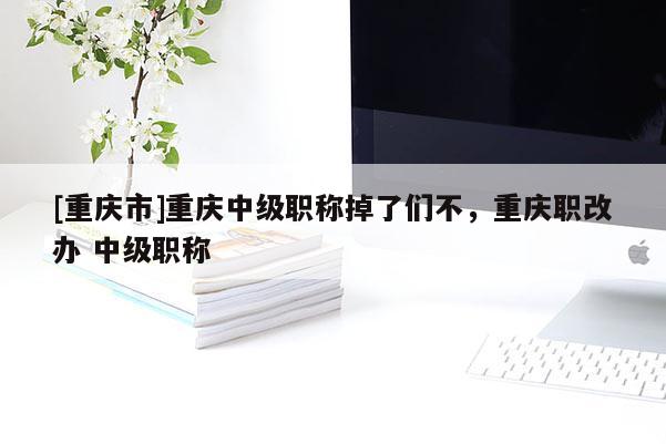 [重慶市]重慶中級職稱掉了們不，重慶職改辦 中級職稱